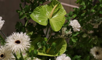 FRÜHLINGSGEFÜHLE BEI LEITNER-DALLINGER. EINE VERANSTALTUNG RUND UM LIEBE, STIL UND FLORALER INSPIRATION